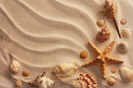 Морские ракушки на песке в ванную (underwater-world-00092)
