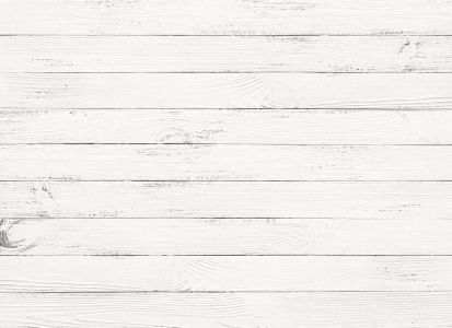 Фотообои Деревянные доски белые (background-400)