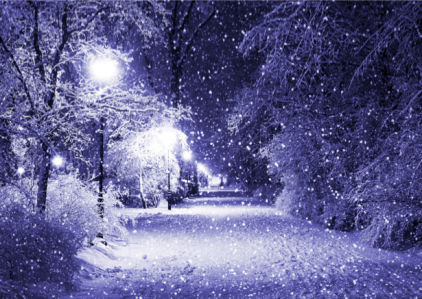 Фотообои с природой зимняя ночь (nature-00028)