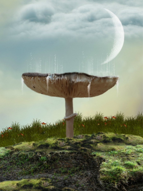Фотообои сказочный гриб (fantasy-0000141)