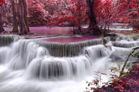 Фотообои водопад, розовый лес (nature-0000847)
