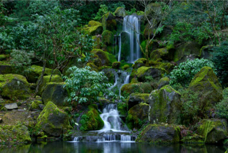 Фотообои горный водопад среди деревьев (nature-00415)