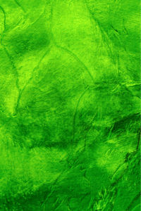 Фотообои зеленый абстрактный фон (background-0000017)