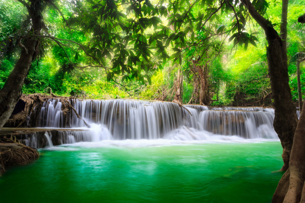 Фотообои водопад, лес, озеро (nature-0000846)