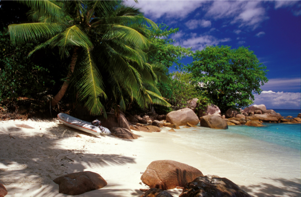 Фотообои море берег остров пальмы (sea-0000277)