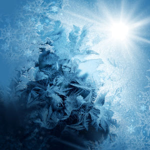 Фотообои зимняя текстура (background-0000119)