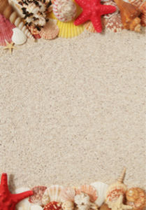 Морские ракушки на песке - Фотообои (sea-0000107)