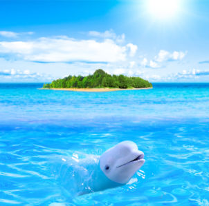 Фотообои белый дельфин (sea-0000197)