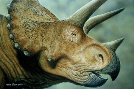 Фотообои 3D динозавр (animals-0000128)