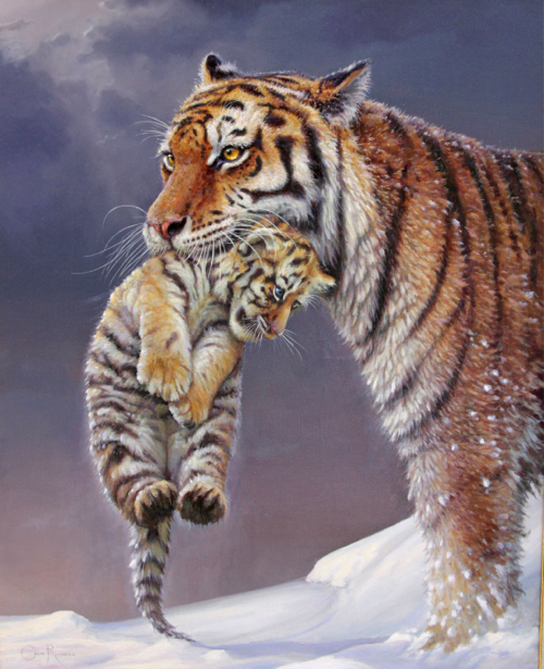 Фотообои мама тигр и тигренок (animals-0000198)