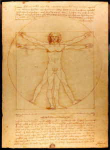 Леонардо да Винчи, рисунок (art-0000145)