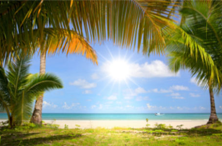 Фото обои море пальмы солнце (sea-0000020)