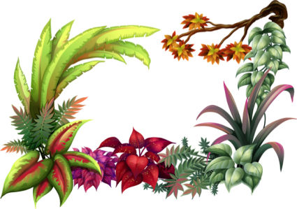 Обои на стену векторные растения (flowers-0000608)