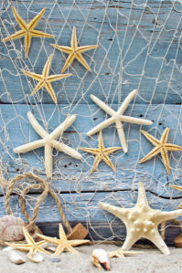 Фотообои для ванны морские звезды (underwater-world-00122)