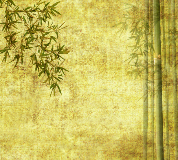 Фотообои в зал на стену Бамбук (flowers-0000207)