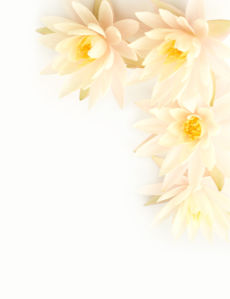 Обои на стену белые цветы (flowers-0000575)