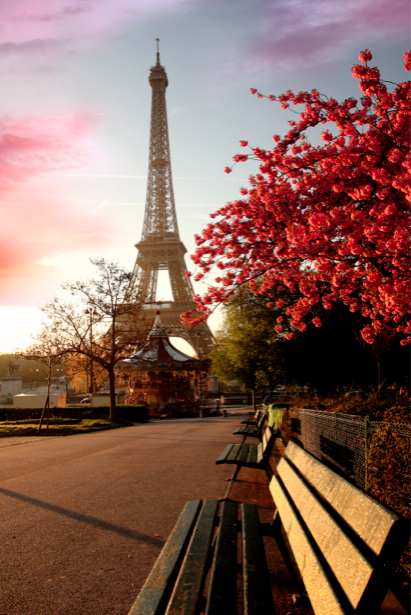 Фотообои Эйфелева башня, Франция (city-0000033)
