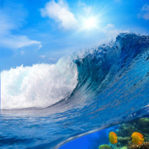 Фотообои волна гребень волны (sea-0000056)