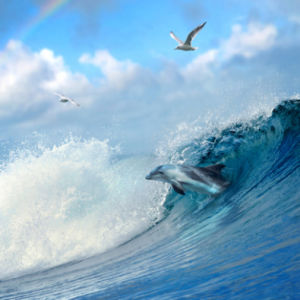 Фотообои фото море волны дельфин (sea-0000064)