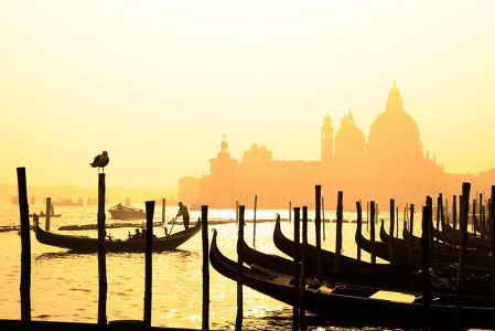 фотообои романтическая Венеция (city-1450)