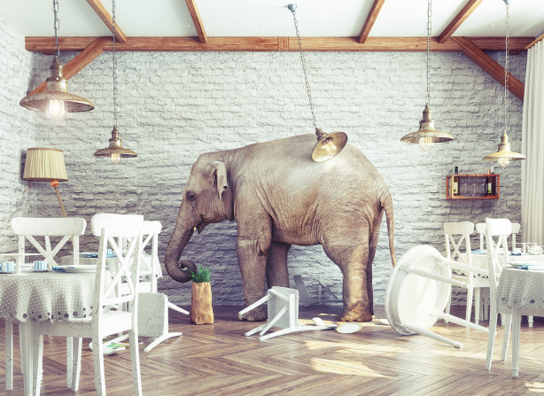 Фотообои Слон в интерьере (loft-3)