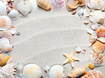 Фотообои красивые ракушки на песке (sea-0000103)