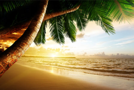 Фотообои морской берег пальмы закат (sea-0000258)