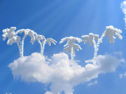 Фотообои пальмы из облаков (sky-0000041)