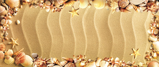 Фотообои для ванны ракушки на песке (underwater-world-00071)