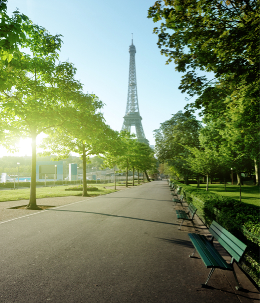 Фотообои Эйфелевая башня Париж (city-0000684)