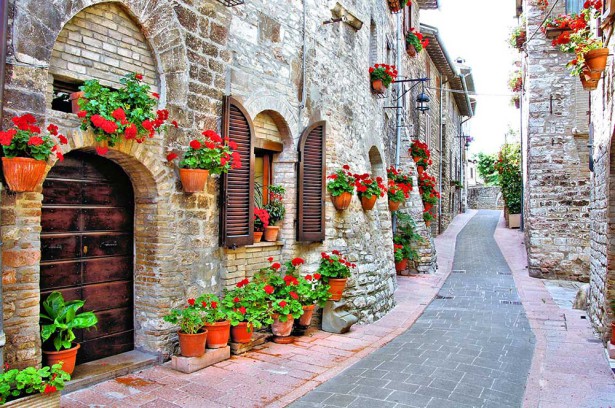 фотообои улица с цветами (city-1438)