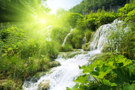 Фотообои водопад, лес (nature-0000842)