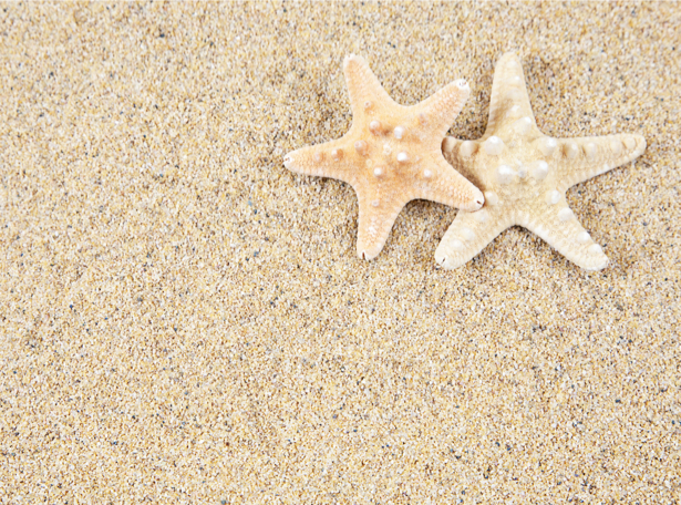 Фотообои для ванны звезды на песке (underwater-world-00090)