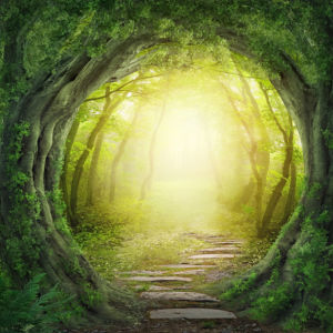 Фотообои сказочный лес деревья тунель (fantasy-0000147)