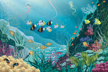 Фотообои для ванны кораллы рыбки море (underwater-world-00163)