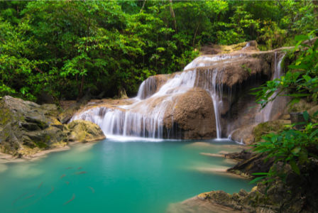 Фотообои водопад в тропиках (nature-0000717)