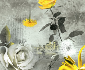Фотошпалери жовті квіти композиція (printmaking-0000003)