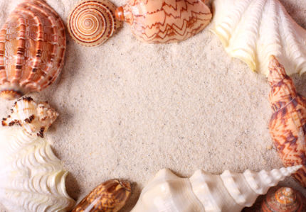 Красивые морские ракушки песке обои (underwater-world-00082)
