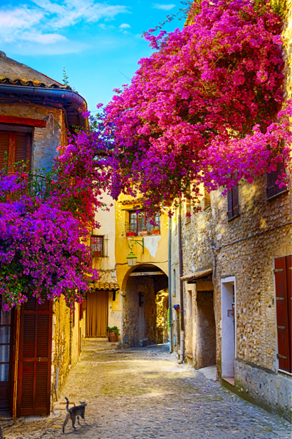 Фотообои итальянские улочки в цветах (city-0001212)