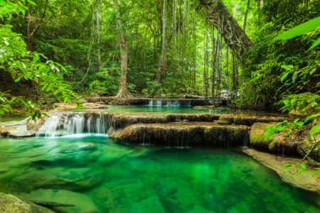Фотообои река водопад лес (nature-0000719)