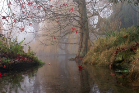 Фотообои виды природы туман на реке (nature-00063)