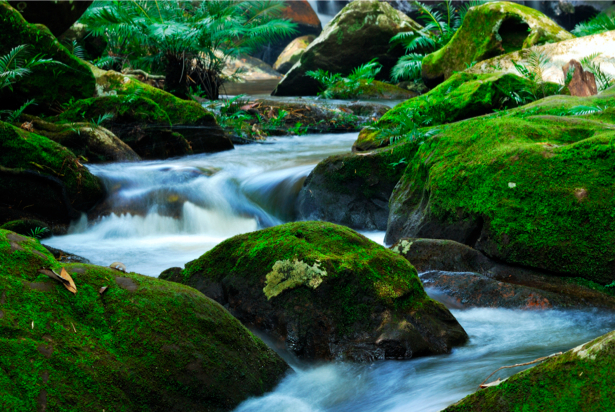 Фотообои с природой в камнях водопад (nature-00190)