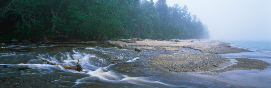 Фотообои горная река ель влага (nature-00342)