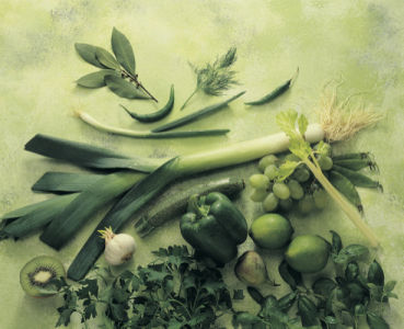 Фотообои для кухни Зеленый натюрморт (food-0000047)