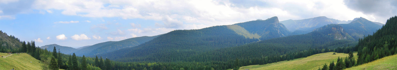 Фотообои горная панормама лесные холмы (panorama_0000014)