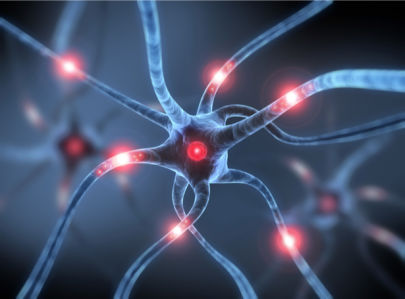 Фотообои нейроны нервные клетки (background-0000264)
