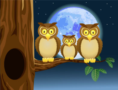 Детские фотообои три совы в лунную ночь (children-0000227)