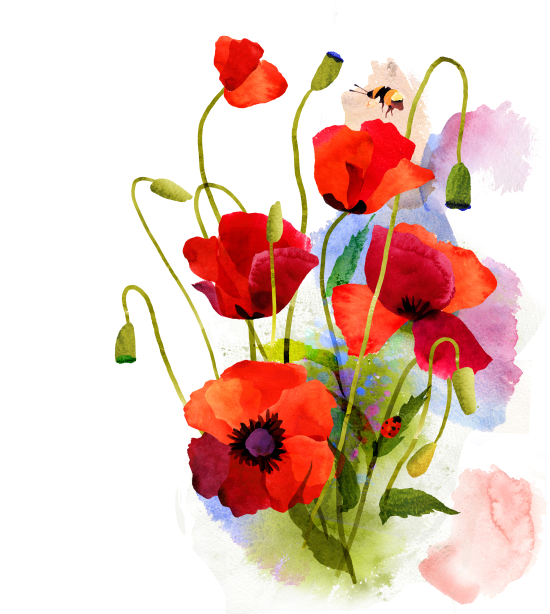 Цветочные обои Акварельные цветы (flowers-0000706)