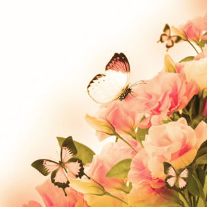 Обои на стену цветы и бабочки (flowers-0000580)
