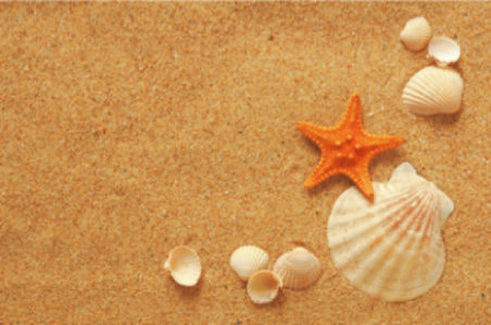 Фотообои ракушки на песке звезда (sea-0000104)